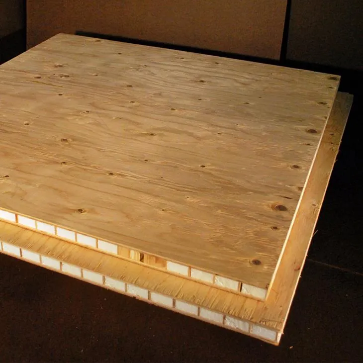 ہنی کومب ڈور پینل